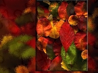 Liście, Kolorowe, Jesieni
