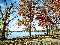 Kolorowe Drzewa, Krajobraz, Jesień, Park, Jezioro