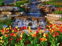 Tulipany, Kolorowe, Kaskada