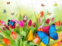 Tulipany, Kolorowe, Motyle