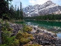 Kolumbia Brytyjska, Jezioro O’Hara, Świerki, Góry Canadian Rockies, Kanada, Park Narodowy Yoho, Kamienie