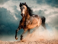 Galop, Koń, Chmury