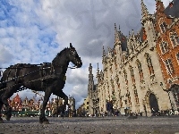Miasto, Koń, Domy