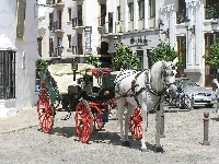 Zaprzęg, Koń, Dorożka