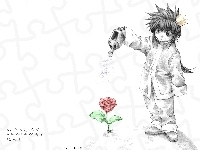 konewka, Saiyuki, osoba, kwiat
