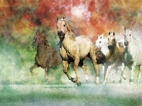 Konie, Galop