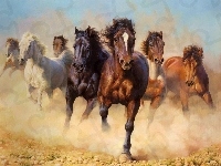 Galop, Konie, Stado