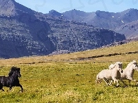 Konie, Góry
