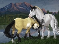 Konie, Miłość