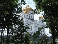 Katedra, Kopuły, Złote, Drzewa, Moskwa
