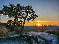 Korzenie, Skały, Słońca, Jezioro, Drzewo, Zachód