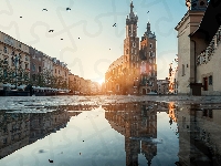 Kałuża, Kraków, Polska, Kościół Mariacki, Odbicie, Kamienice