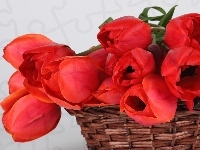 Czerwone, Kosz, Tulipany