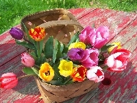 Koszyk, Kolorowe, Tulipany, Stół