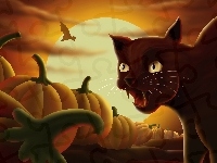 Dynie, Kot, Halloween