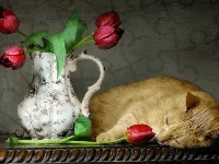 Dzban, Kot, Tulipany