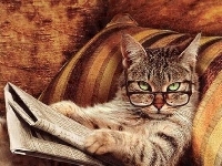 Gazeta, Kot, Okulary