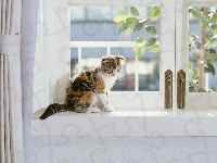 Okno, Kot, Parapet