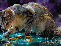 Ryby, Kot, Woda, Grafika AI