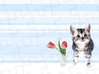 Dwa, Kotek, Tulipany