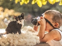 Kotek, Chłopiec, Fotograficzny, Dziecko, Kot, Aparat