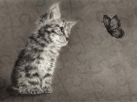 Kotek, Motyl