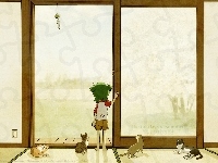koty, szklane, drzwi, Yotsubato