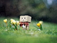 Trawnik, Wiosna, Danbo, Krokusy