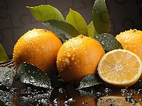 Pomarańcze, Krople, Liście, 2D, Wody