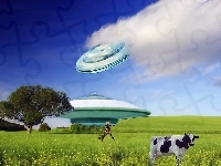 Krowa, UFO