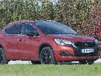 Krzewy, DS4, Citroen