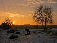 Krzewy, Słońca, Śnieg, Zachód, Drzewa, Ławeczka