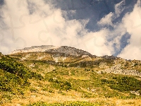 Krzewy, Bułgaria, Trawa, Niebo, Góra Todorka, Góry Piryn, Chmury