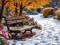 Śnieg, Park, Liście, Kwiaty, Drzewa, Pożółkłe, Ławka, Krzewy