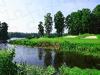 Golfowe, Lasy, Rzeka, Krzewy, Lato, Pola