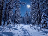 Noc, Zima, Drzewa, Grafika AI, Ośnieżone, Droga, Księżyc