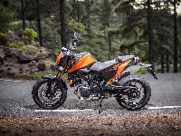 2017, KTM 690 Duke, Motocykl