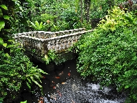 Park Butterfly, Malezja, Kuala Lampur, Mostek, Zieleń