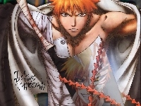 Ichigo Kurosaki, Bleach