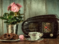 Pierniki, Radio, Antyk, Kwiat, Filiżanka, Begonia