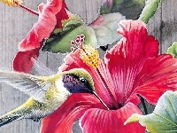 Koliber, Kwiat, Art