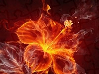 Ogień, Kwiatek, Abstrakcja