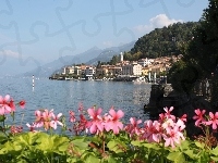 Kwiatki, Włochy, Jezioro, Como, Bellagio