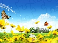 Kwiatki, Biedronka, Wiosna, Żółte, Motylki