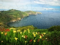 Kwiatki, Portugalia, Morze, Wybrzeże, Azory