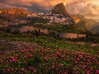 Park Narodowy Glacier, Góry, Montana, Stany Zjednoczone, Kwiaty, Lewis Range, Jezioro, Chmury, Łąka, Hidden Lake