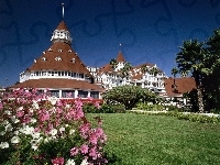 Kwiaty, Hotel, Coronado, Trawnik