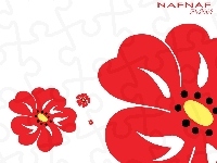 kwiaty, Naf Naf, czerwone, grafika