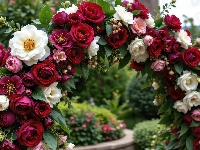 Białe, Ogród, Czerwone, Kwiaty, Łuk, Kwiatowy, Róże