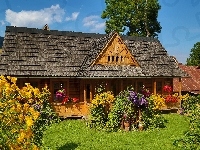 Kwiaty, Zakopane, Dom, Ogród